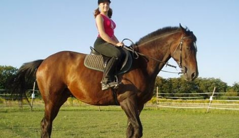 Penzion PIANO RANCH Mladá Boleslav